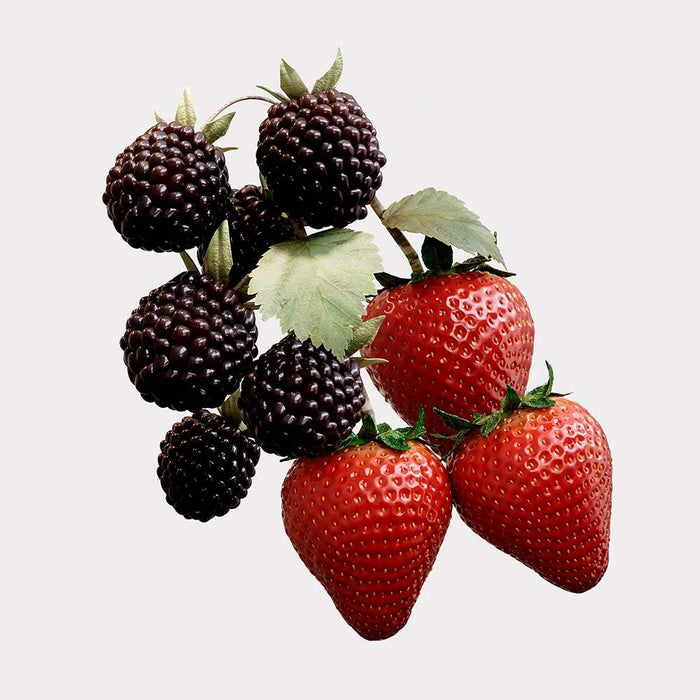 Burberry Her Elixir Eau de Parfum Spray for Women 3.3 Oz